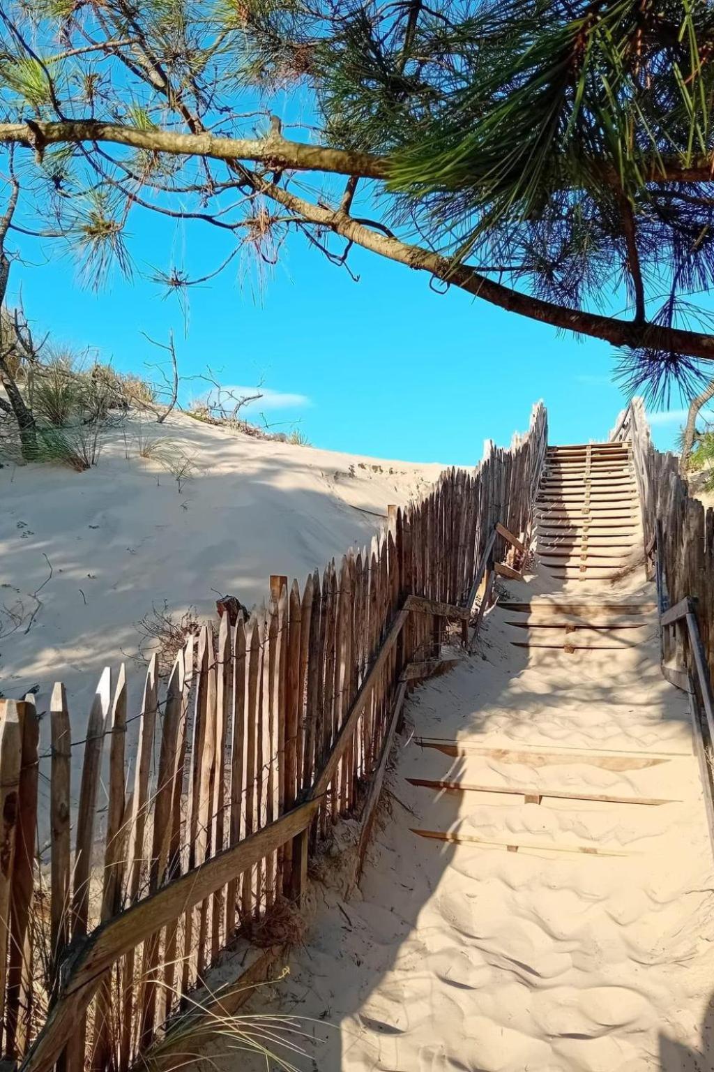 Holiday Home Les Pinasses By Interhome มีมีซ็อง-ปลาจ ภายนอก รูปภาพ